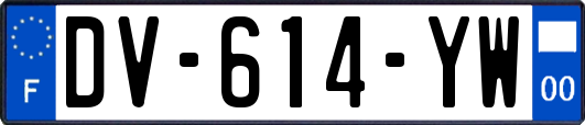 DV-614-YW