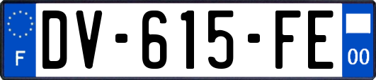 DV-615-FE