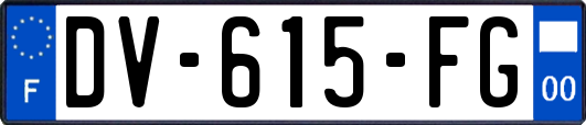 DV-615-FG