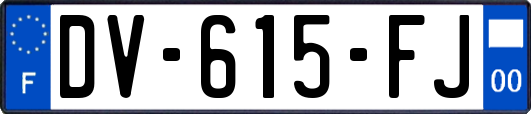 DV-615-FJ