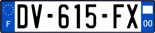 DV-615-FX