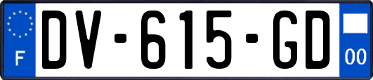 DV-615-GD