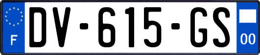 DV-615-GS