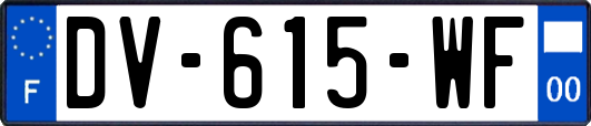 DV-615-WF