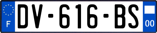 DV-616-BS