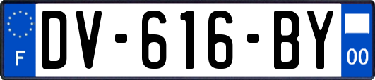 DV-616-BY