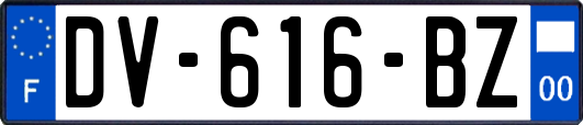 DV-616-BZ