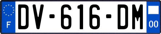 DV-616-DM