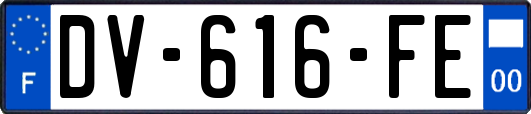 DV-616-FE