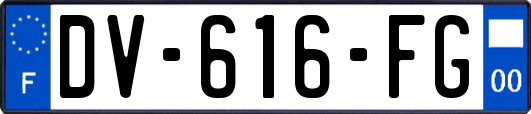 DV-616-FG