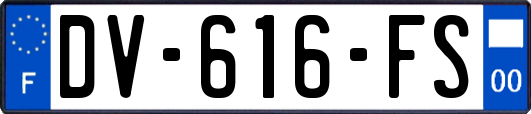 DV-616-FS