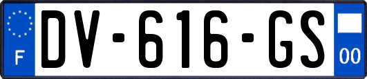 DV-616-GS