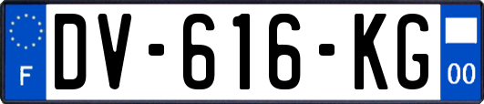 DV-616-KG