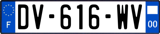 DV-616-WV