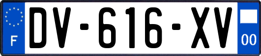 DV-616-XV