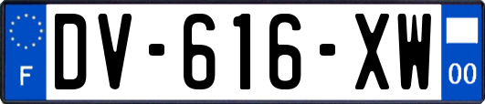 DV-616-XW