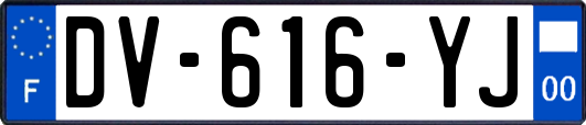 DV-616-YJ