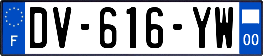 DV-616-YW