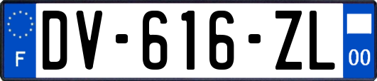 DV-616-ZL