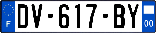 DV-617-BY