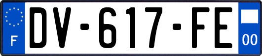 DV-617-FE