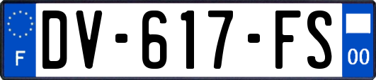 DV-617-FS