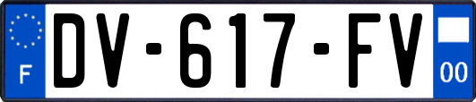 DV-617-FV