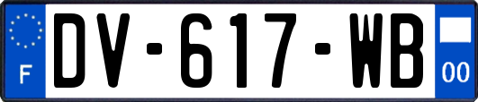 DV-617-WB