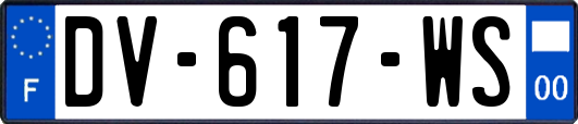 DV-617-WS