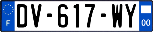 DV-617-WY