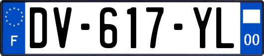 DV-617-YL