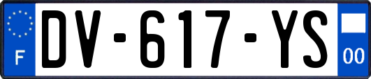 DV-617-YS