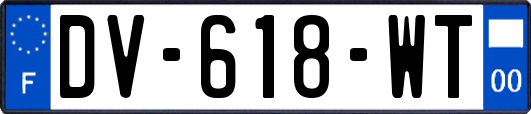 DV-618-WT