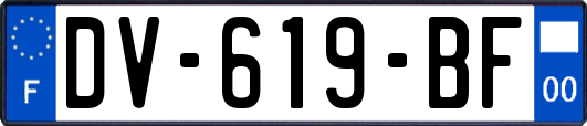 DV-619-BF