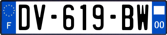 DV-619-BW