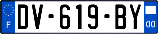 DV-619-BY