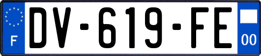 DV-619-FE