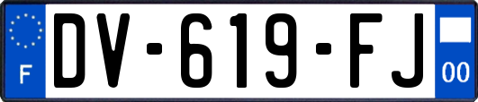 DV-619-FJ