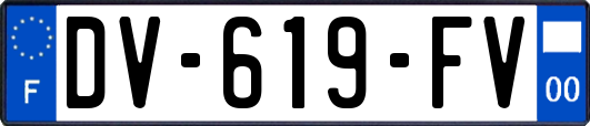 DV-619-FV