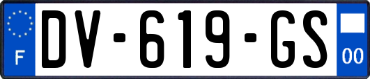 DV-619-GS