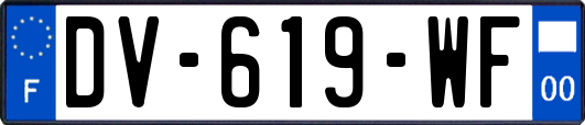 DV-619-WF