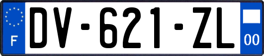 DV-621-ZL