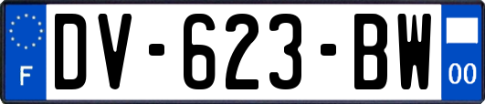 DV-623-BW