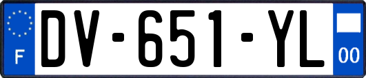 DV-651-YL