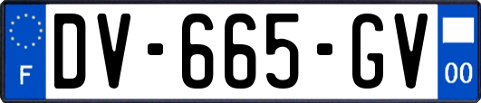 DV-665-GV