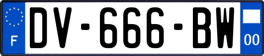 DV-666-BW