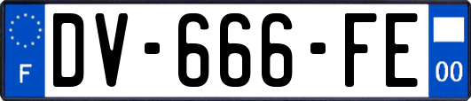 DV-666-FE