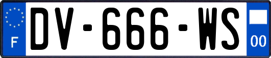 DV-666-WS