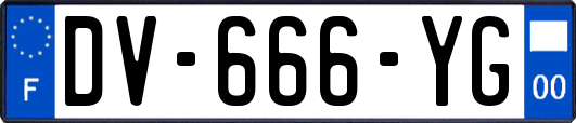 DV-666-YG