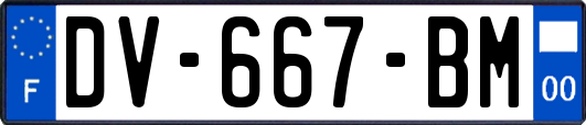 DV-667-BM